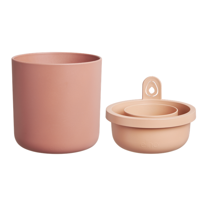 amazing avocado pot mou terra